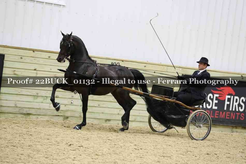 Proof 22BUCK_01132