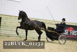 22BUCK_01132 proof