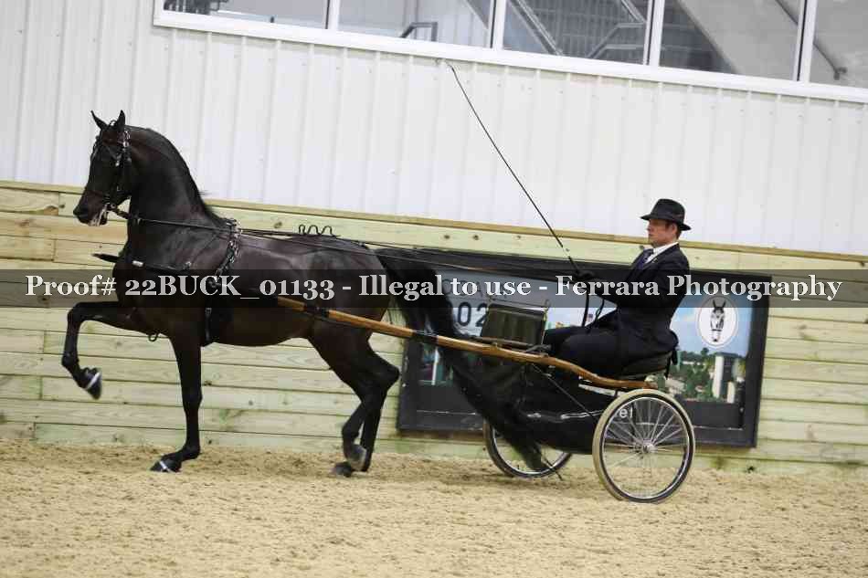 Proof 22BUCK_01133