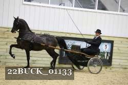 22BUCK_01133 proof