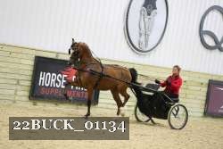 22BUCK_01134 proof
