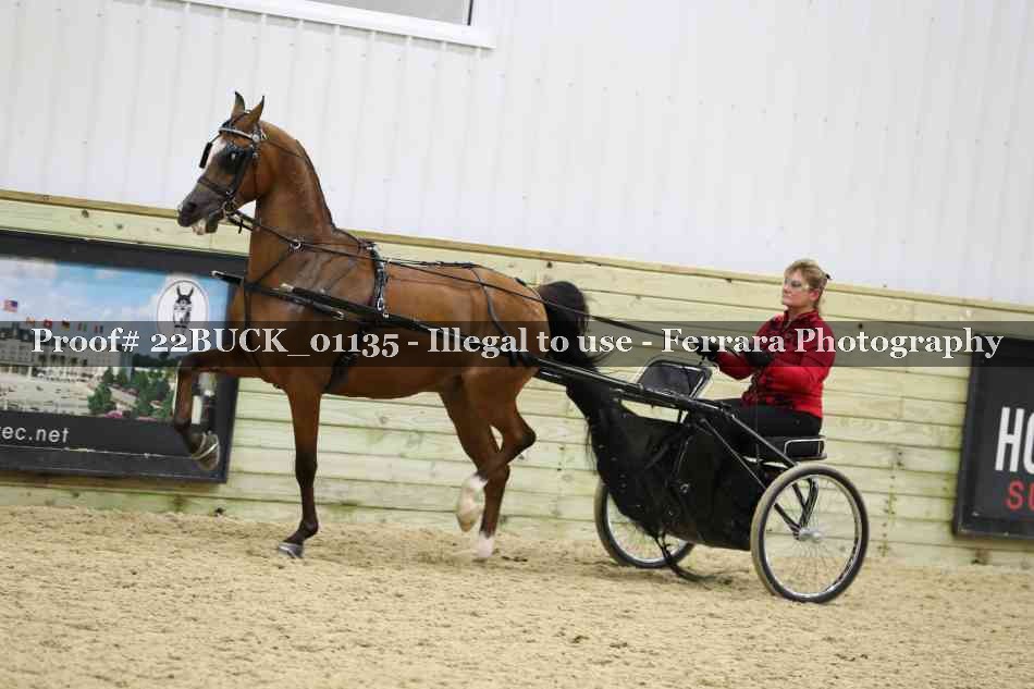 Proof 22BUCK_01135