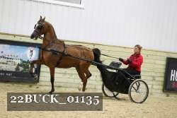 22BUCK_01135 proof