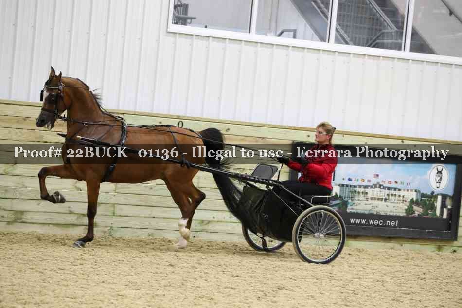 Proof 22BUCK_01136