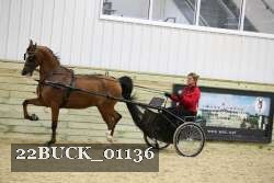 22BUCK_01136 proof