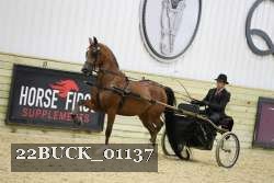22BUCK_01137 proof