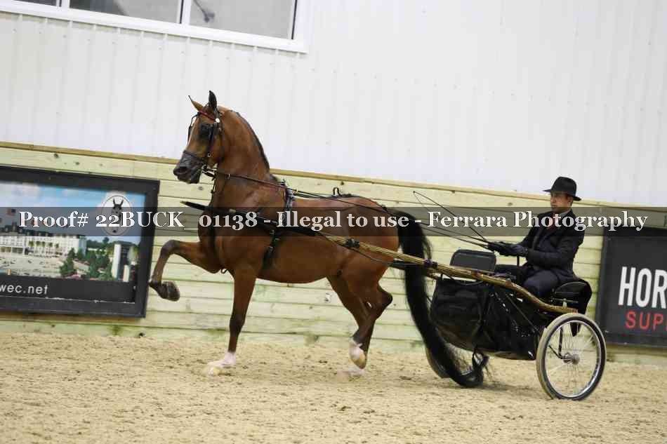 Proof 22BUCK_01138