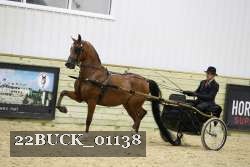 22BUCK_01138 proof