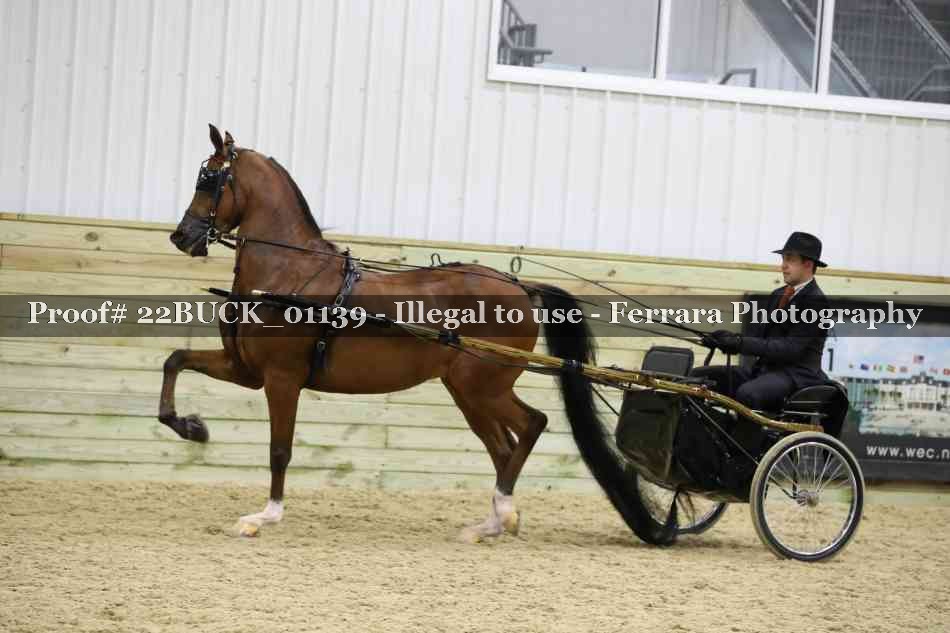 Proof 22BUCK_01139