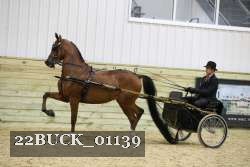 22BUCK_01139 proof