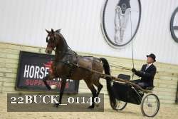 22BUCK_01140 proof