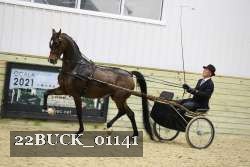 22BUCK_01141 proof