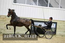 22BUCK_01142 proof