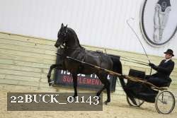 22BUCK_01143 proof