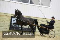 22BUCK_01144 proof