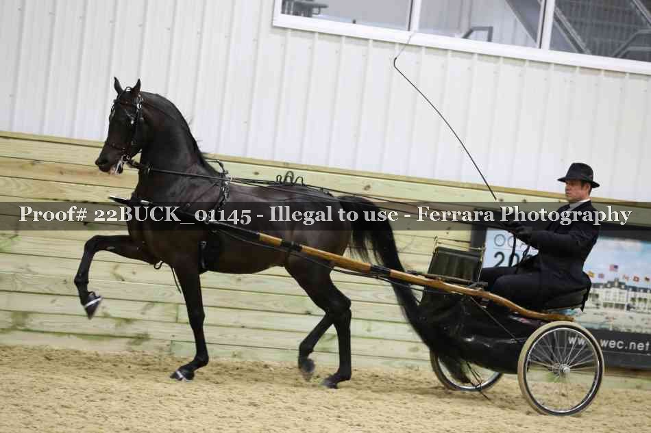 Proof 22BUCK_01145