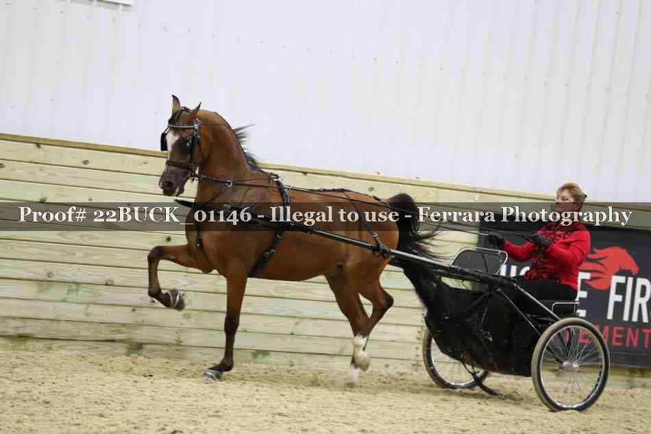 Proof 22BUCK_01146