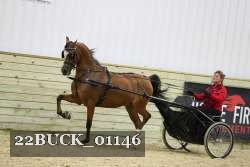 22BUCK_01146 proof