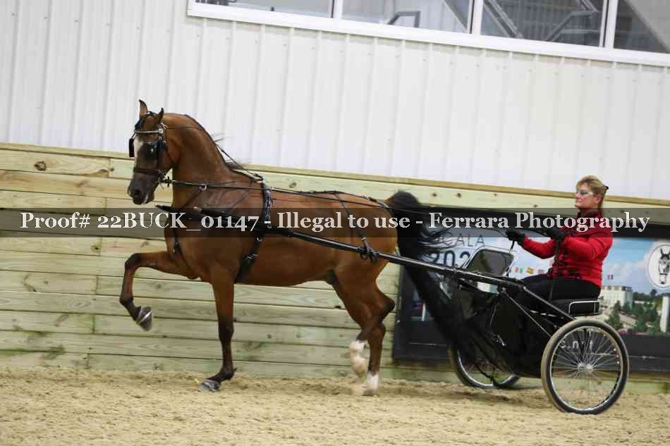 Proof 22BUCK_01147