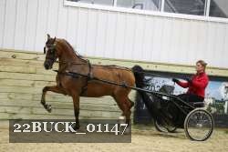 22BUCK_01147 proof