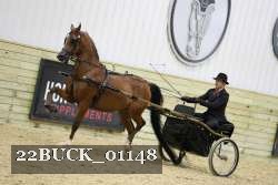 22BUCK_01148 proof