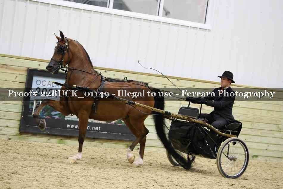 Proof 22BUCK_01149