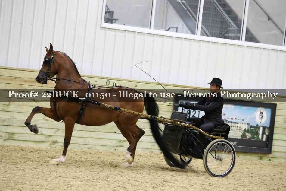 Proof 22BUCK_01150