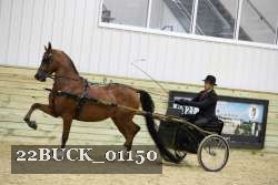 22BUCK_01150 proof