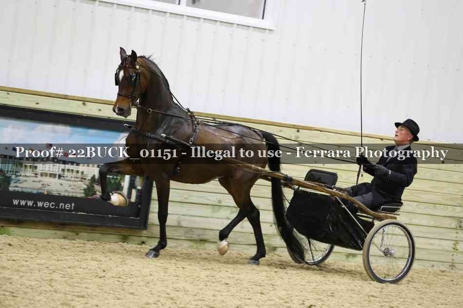 Proof 22BUCK_01151
