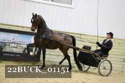 22BUCK_01151 proof