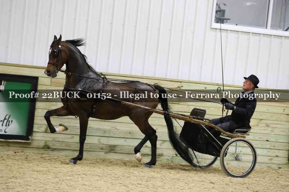 Proof 22BUCK_01152