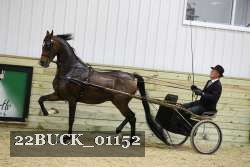 22BUCK_01152 proof