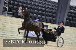 22BUCK_01153 proof