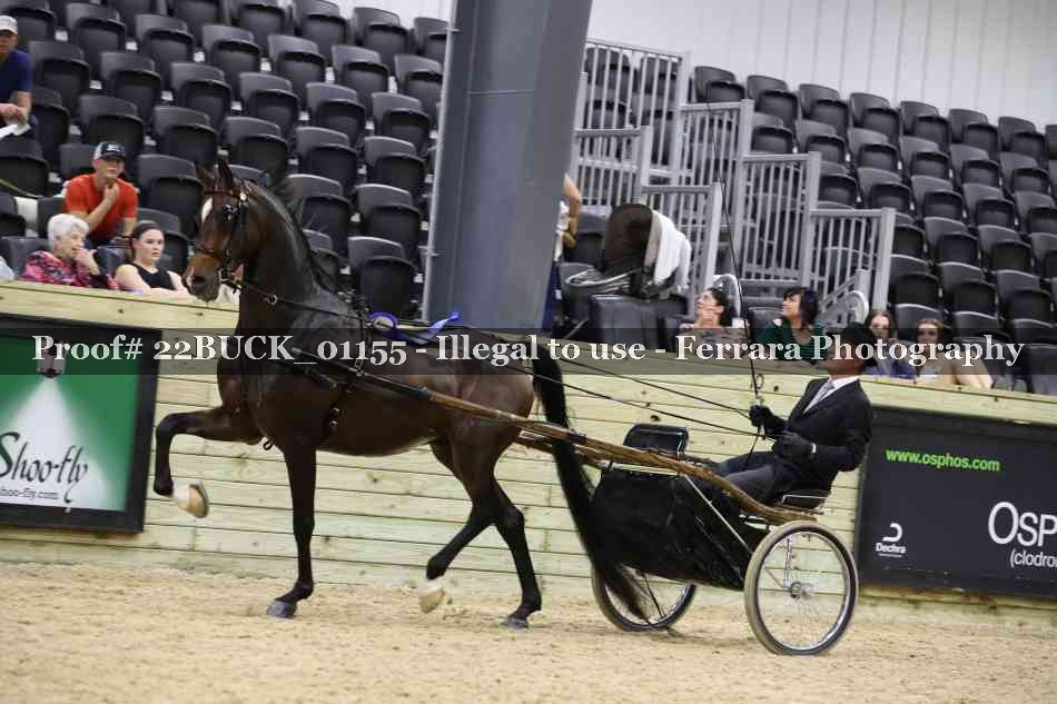 Proof 22BUCK_01155