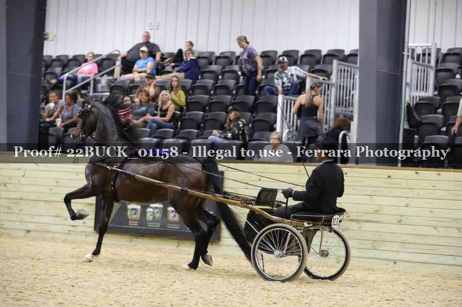 Proof 22BUCK_01158