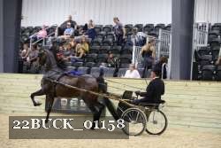 22BUCK_01158 proof