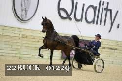 22BUCK_01229 proof