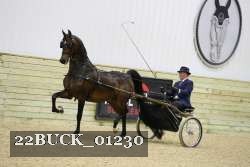 22BUCK_01230 proof