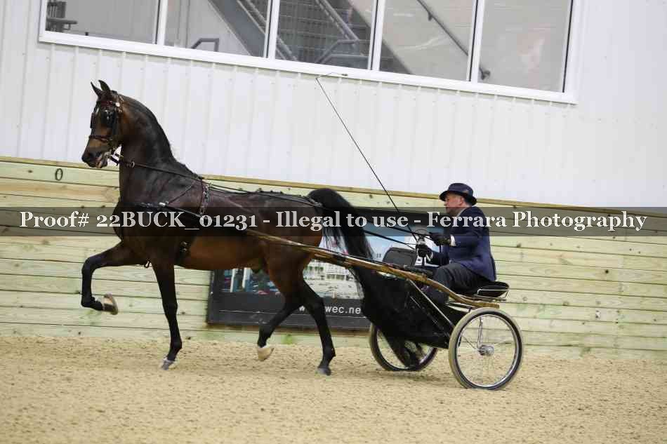 Proof 22BUCK_01231