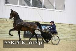 22BUCK_01231 proof