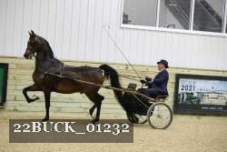 22BUCK_01232 proof