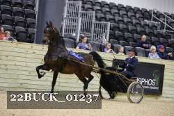 22BUCK_01237 proof