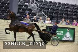 22BUCK_01239 proof