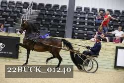 22BUCK_01240 proof