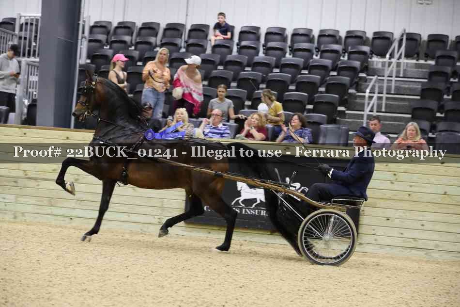Proof 22BUCK_01241