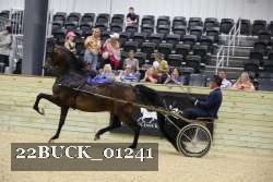 22BUCK_01241 proof