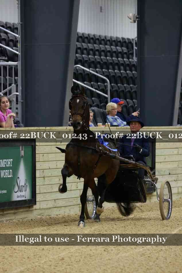 Proof 22BUCK_01243