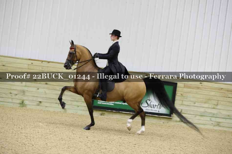 Proof 22BUCK_01244