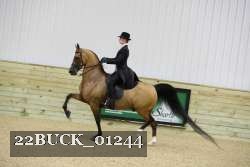 22BUCK_01244 proof