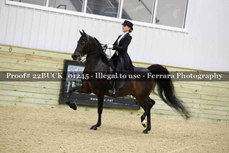 Proof 22BUCK_01245